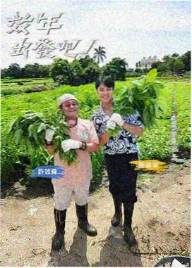 秋霞在线 王牌对王牌 综艺